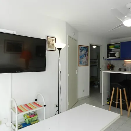 Apartment T2 Avec Coin Nuit, Piscine, Parking Securise, Proche - - Fr-1-251-743 Le Lavandou